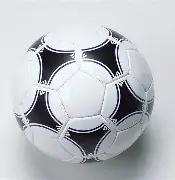 年散打世界,杯澳洲首秀,助力中华武,博业体育平台,博业体育官方网站,博业体育登录入口,博业体育app下载