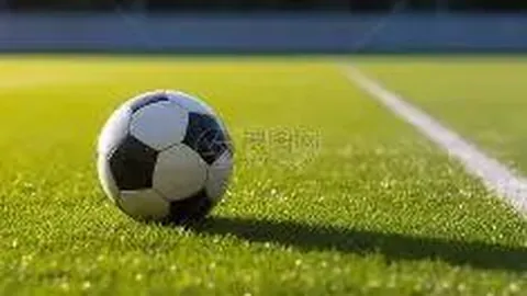 希腊揭晓东京奥运圣火采集活动安排，3月12日正式启动