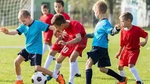 第十五届运动会运行情况新闻发布会成功举办