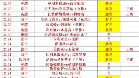 中国冰壶队喜获亚冬会男女双冠